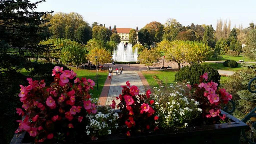 Hotel Royal Spa Banja Koviljaca Luaran gambar