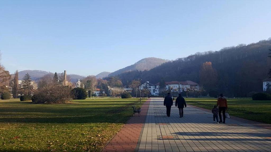 Hotel Royal Spa Banja Koviljaca Luaran gambar